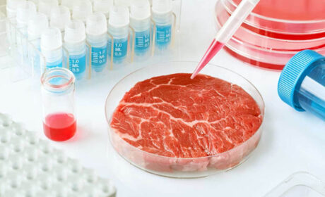 Carne cultivada en laboratorio: a los inversores les encanta, pero los científicos cuestionan su seguridad