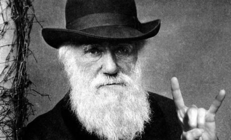 Darwin y las lagunas de su teoría de la evolución (2.ª Parte)