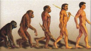 Darwin y las lagunas de su teoría de la evolución (3.ª parte)