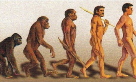 Darwin y las lagunas de su teoría de la evolución (3.ª parte)